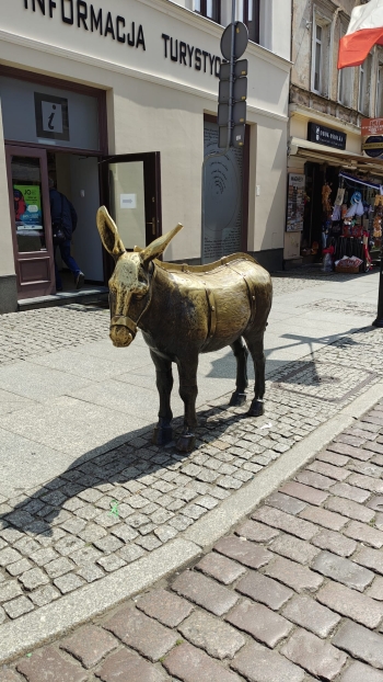 f8632285-c30a-4231-b537-c006a29f70f9.jpeg