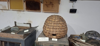IMG_3955.jpeg