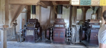 IMG_3980.jpeg