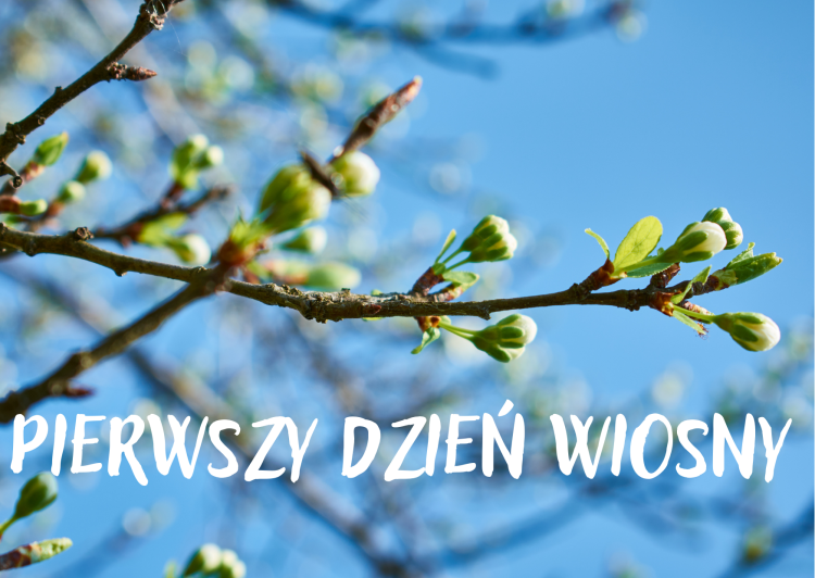 Gify Na Pierwszy Dzień Wiosny PIERWSZY DZIEŃ WIOSNY - Szkoła Podstawowa Lniano