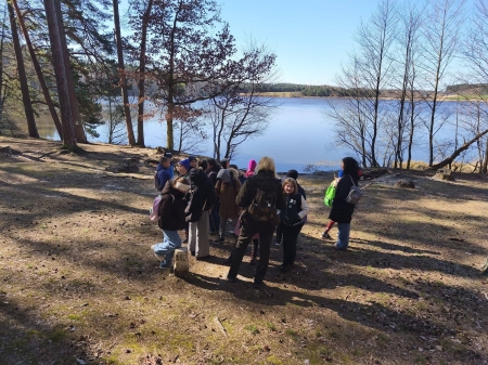 ZIELONE MAM, W ZIELONE GRAM